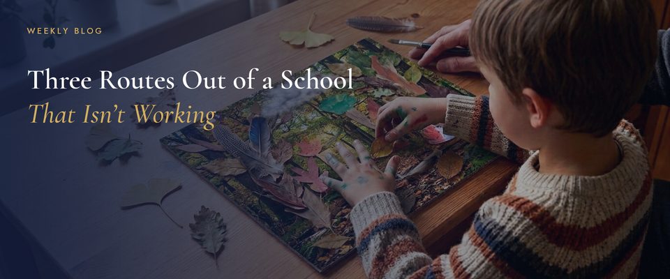 A boy making a nature collage from leaves and feathers at a kitchen table during the school day